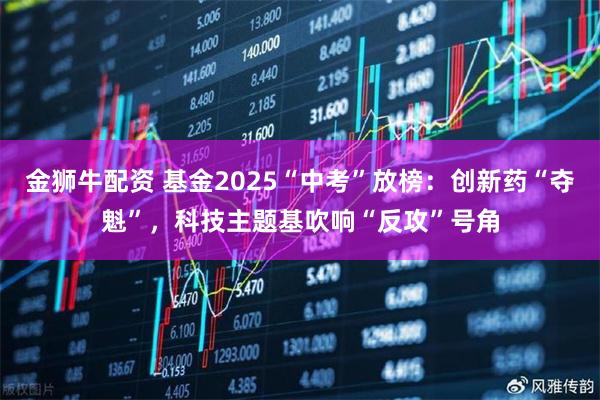 金狮牛配资 基金2025“中考”放榜：创新药“夺魁”，科技主题基吹响“反攻”号角