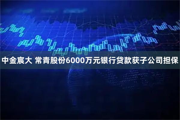 中金宸大 常青股份6000万元银行贷款获子公司担保