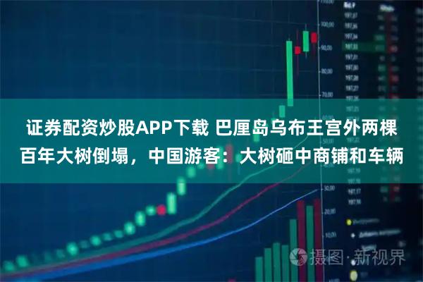 证券配资炒股APP下载 巴厘岛乌布王宫外两棵百年大树倒塌，中国游客：大树砸中商铺和车辆