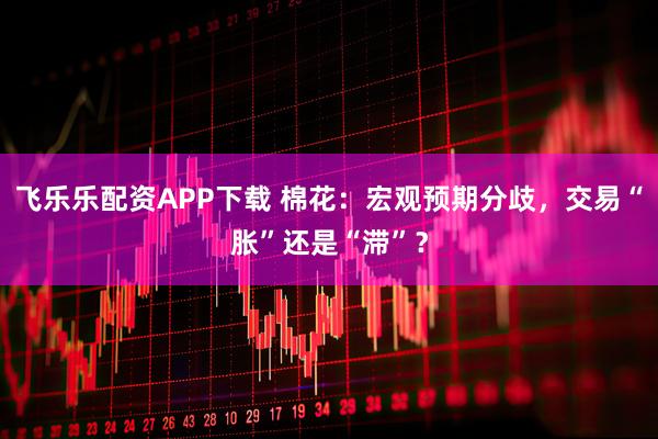 飞乐乐配资APP下载 棉花：宏观预期分歧，交易“胀”还是“滞”？